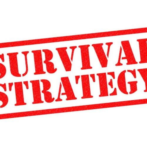 Small Business Survival through COVID-19