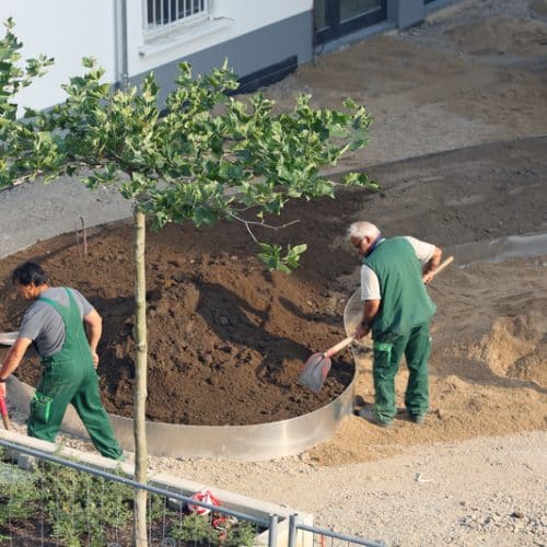 landscaping design-build contractor for sale